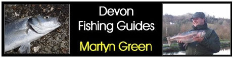 Link to Devon Fishing Guides